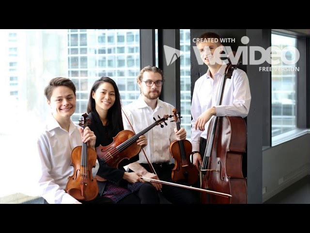 Haydn "Sunrise" Quartet Mvt 2
