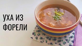 Уха из форели рецепт Уха из форели рецепт