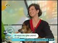 יד 2