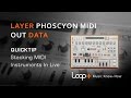 D16 Phoscyon Tutorial - Midi Routing