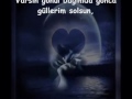 Seni Unutacağım Dağlarkızı Reyhan Pervanlar Karaalp Yorumlayan Gültekin Şahin klip izle