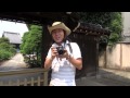 SONY一眼レフカメラα55で猫撮影|Sony Digital SLR A55 Shoot Cats @Yanaka Ginza