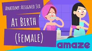 Anatomy: Assigned Sex At Birth (Female)