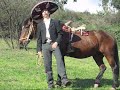 antonio aguilar chileno(caballo de patas blancas.)
