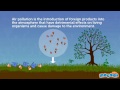 Pollution