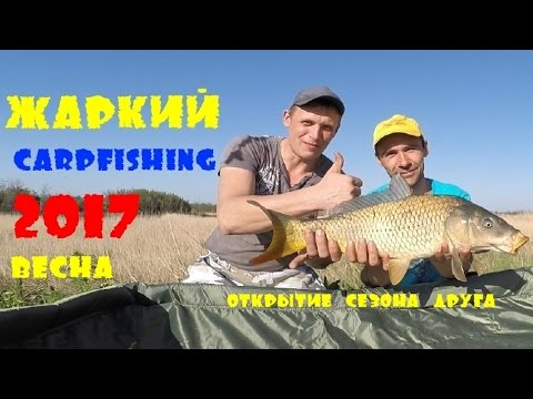ловля толстолобика в апреле видео ловля толстолобика в апреле видео