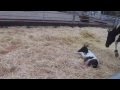 birth