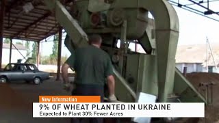 9% of Wheat Planted in Ukraine: Expected to Plant 30% Fewer Acres