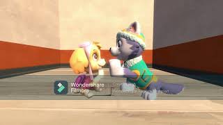 Sfm Paw Patrol Skye And Everest High Five