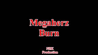 Watch Megaherz Burn video