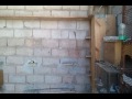 Pigeon 6:Granadino,Buchon Laudino,Buchon Laudino Sevillano الحمام النفاخ