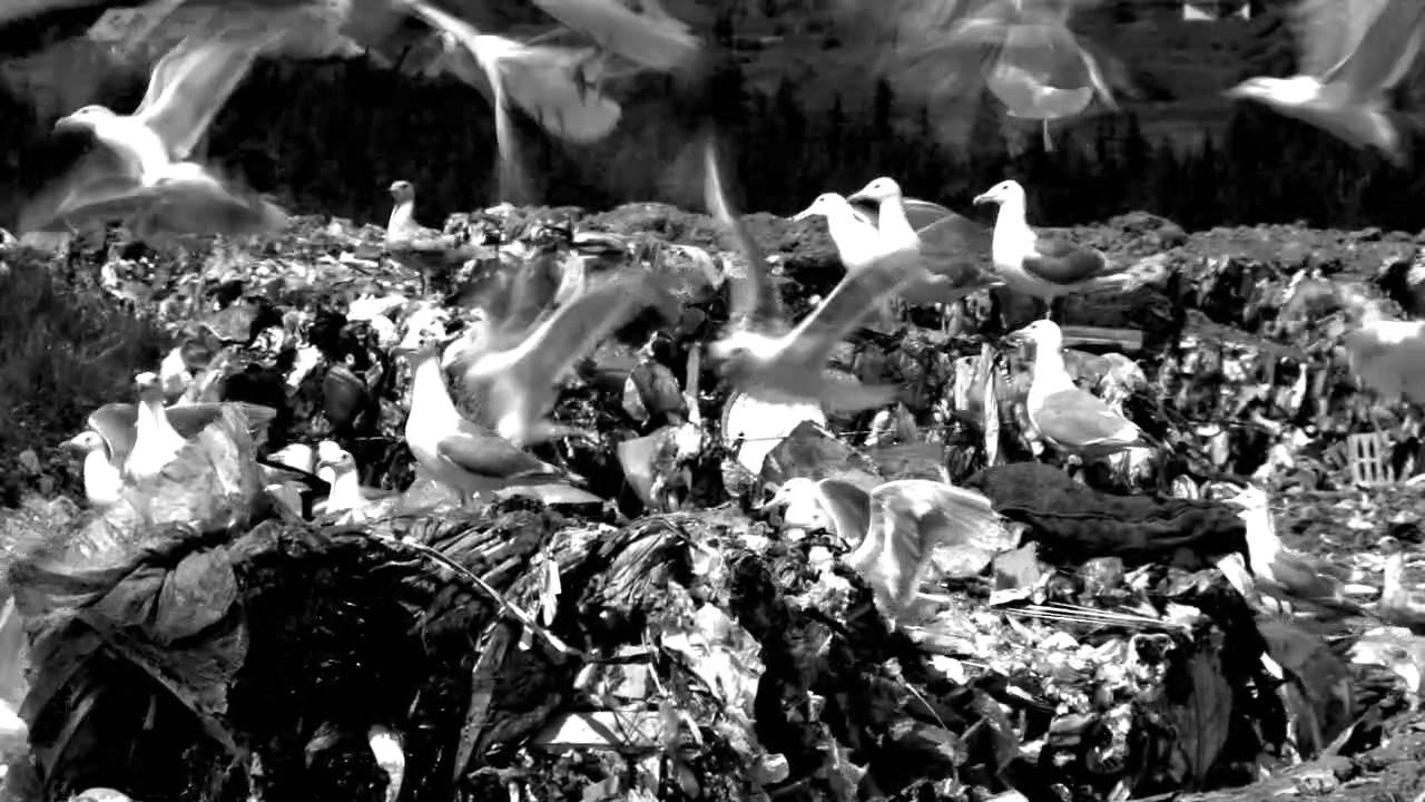 MOTHER'S CRY: Poetry Video on Climate Change by Lisa Russell Featuring Savon Bartley