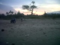 mesum di pantai