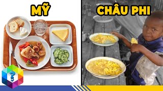 Nhìn Trộm Suất Ăn Của Học Sinh Việt Nam Và Thế Giới - Ở Đâu Sang Xịn Mịn Nhất? Top 1 Khám Phá