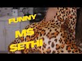 Ms Sethi ❤️ | outfit completion | tiktok challenge 2023 new viral video