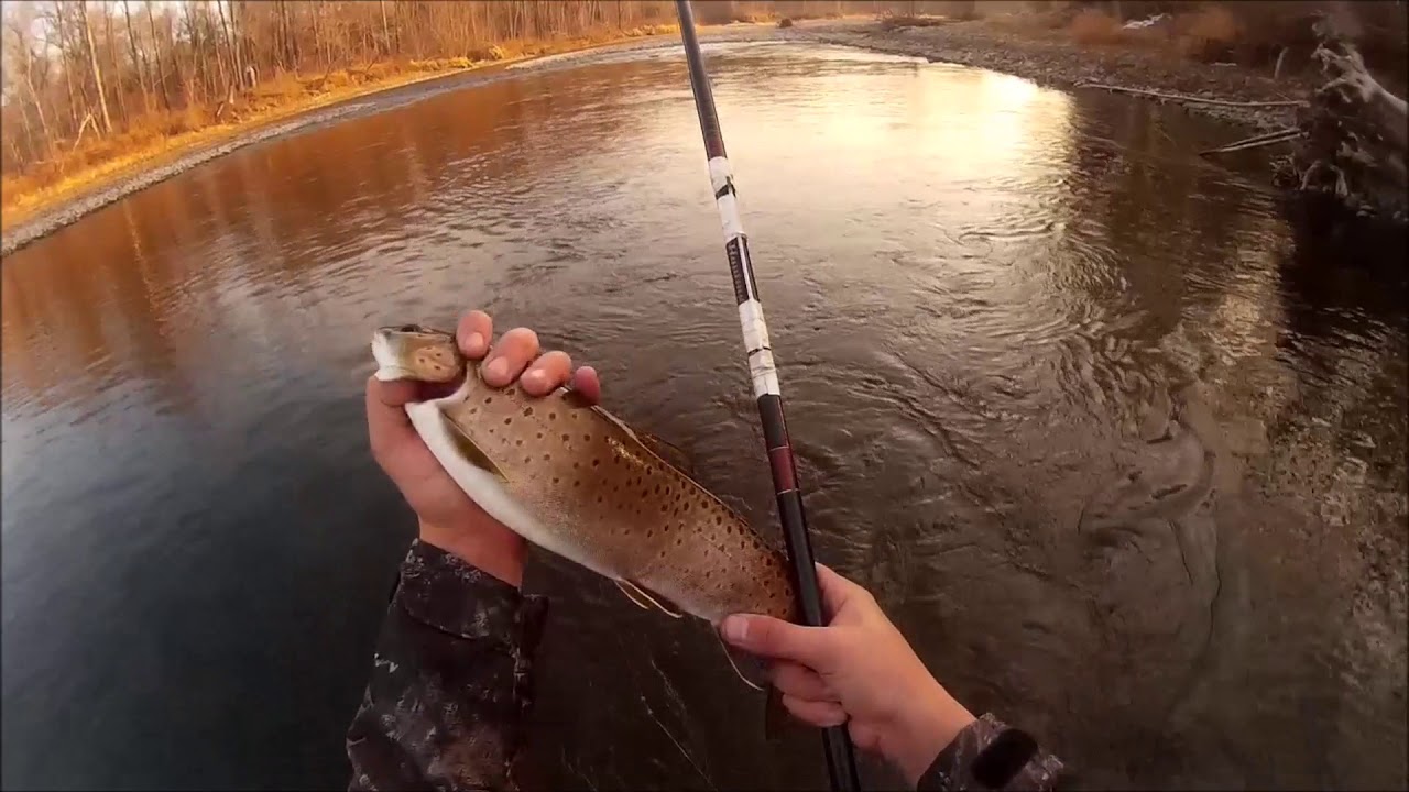 ютуб ловля ленка и хариуса из лунки видео ютуб ловля ленка и хариуса из лунки видео