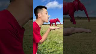 Herd Of Elephants In My Mouth - Help The Elephant Return To The Meadow
