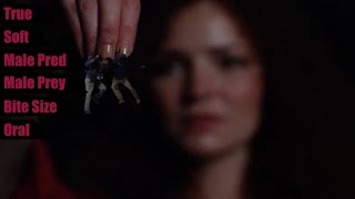 Woman Feeds Shrunken Men To Snake - Charmed 2X6