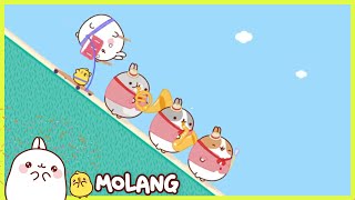 Molang - The Fanfare | Full Molang episodes - Cartoon for kids