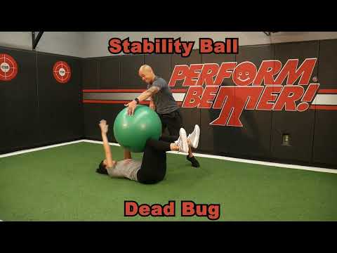 Thera-Band Pro Series SCP Stability Ball Thera-Band Pro Series SCP Stability Ball