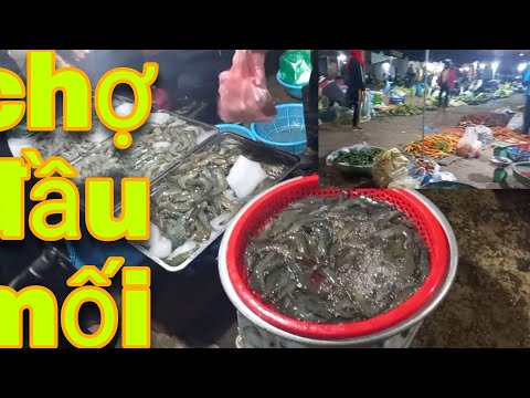 Đi thăm và mua hải sản tại chợ đầu mối