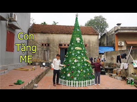 Hưng Vlog - Làm Cây Thông Noel Khổng Lồ Tặng MẸ Bà Tân Vlog | Giant christmas tree