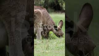 Top Attractions Of Brisbane Australia