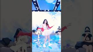 Panda Live Korea