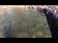 Truckee River Highsticking ( #3 ) "Right 2 Left" "DEAD DRIFT BLUES".m4v