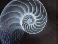 Spiral Theory