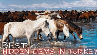 Best Hidden Gems of, Turkey, Kayseri, wild horses, Aerial Views
