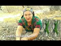 Marimba Alma Lira Vol 18 Nuevo Álbum 2018 Cuando Llora Malin Patix