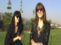 Black Flamingo Interview