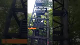 I Found 99 Nights In The Forest Irl