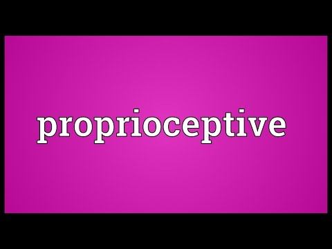 Header of proprioceptive