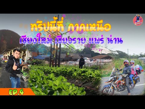 เที่ยวเมืองเหนือ ชมวิวสวยๆที่ม่อนแจ่ม : เก่งเที่ยว EP.4
