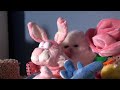 Kitten plays with the bunny! - Happy Easter ecards - Easter Greeting Cards Kitten plays with the bunny! - Happy Easter ecards - Easter Greeting Cards