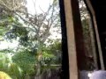 Bus Service 29 From Changi Village interchange to Blk 431 Part 1 Of 2