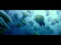 Disney Nature - Oceans Trailer HD