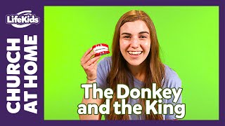 Church at Home: Bible Adventure | June 6-7 | LifeKids Online