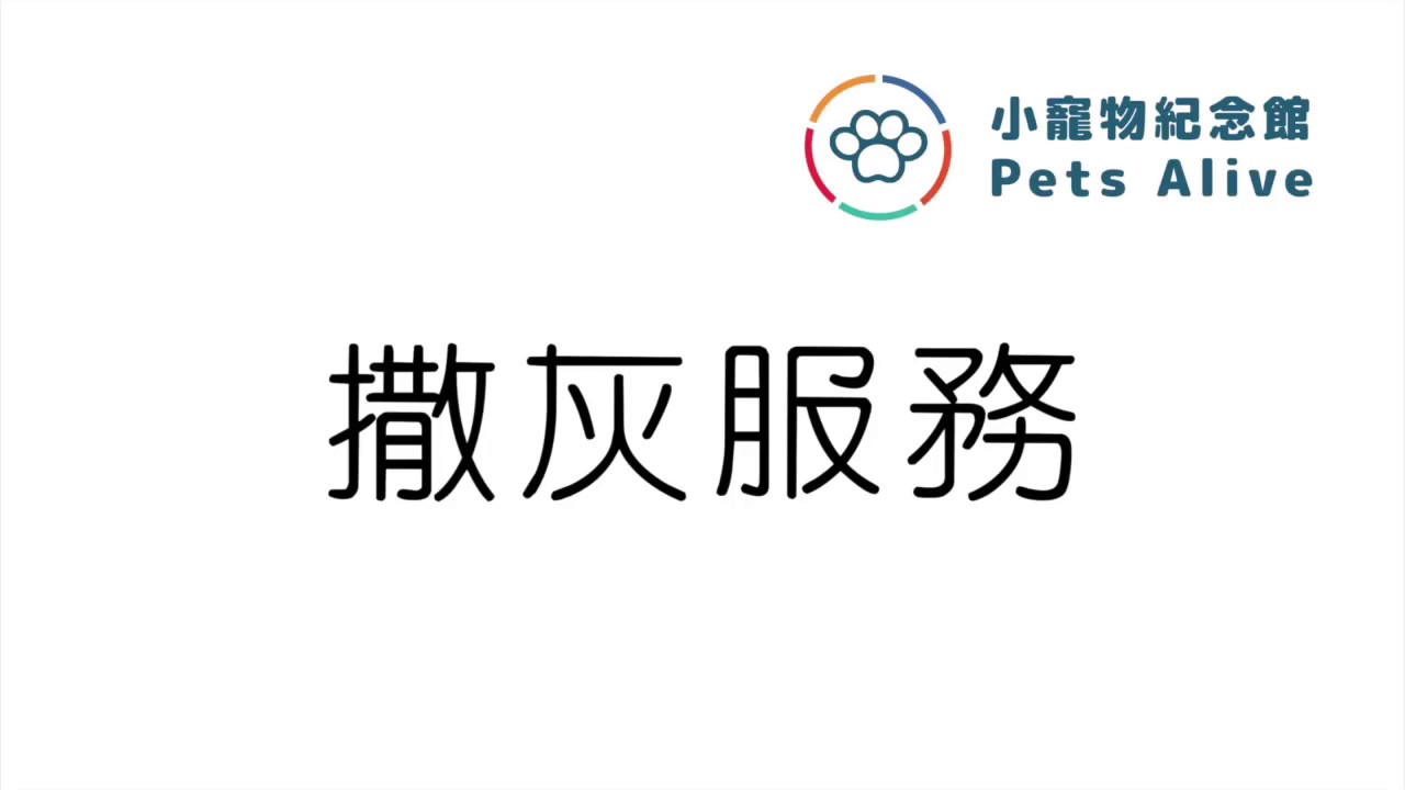 全部影片