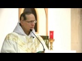 Jan 29 - Homily: The Purpose of a Lamp Jan 29 - Homily: The Purpose of a Lamp