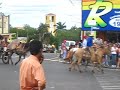 CAVALGADA EM COMEMORAÇÃO DE 70 ANOS DE FLÓRIDA PAULISTA VIDEO 2 BY CELSO