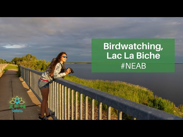 Watch Go birding in Lac La Biche for a nature refresh on YouTube.