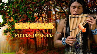 Leo Rojas - Fields Of Gold