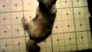 My Baby Rolling Around