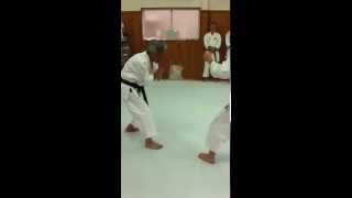 Soke Inoue - Suiken 13
