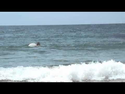 Wedding dress project ocean swimming