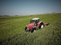 Broyage des couverts végétaux ( 2019 )