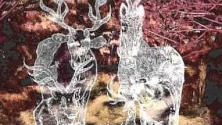 Watch Kayo Dot Blue Lambency Downward video